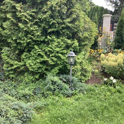 Pokoje Gocinne Dalia W Toruniu 11