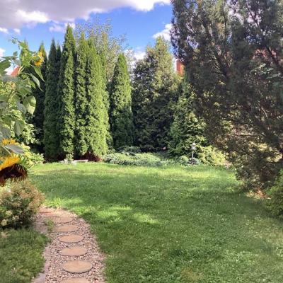 Pokoje Gocinne Dalia W Toruniu 12