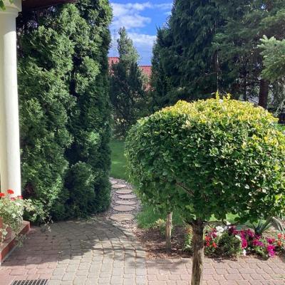 Pokoje Gocinne Dalia W Toruniu 13