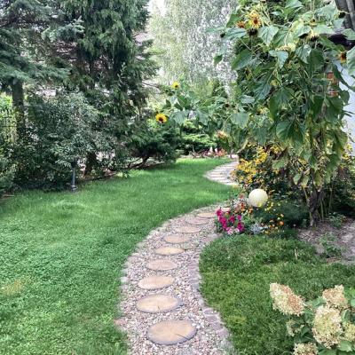 Pokoje Gocinne Dalia W Toruniu 19